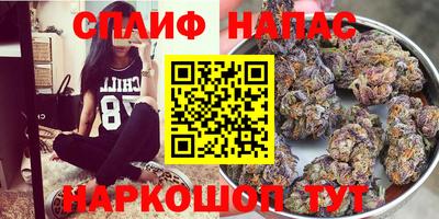 герыч Кингисепп