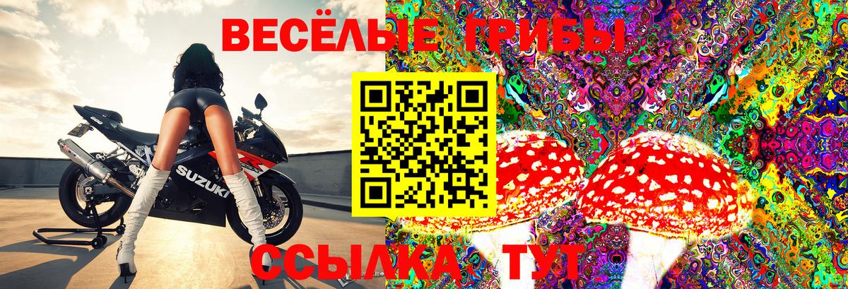 Псилоцибиновые грибы MAGIC MUSHROOMS  Вход с VPN  Галлюциногенные грибы Psilocybe  Кизилюрт 