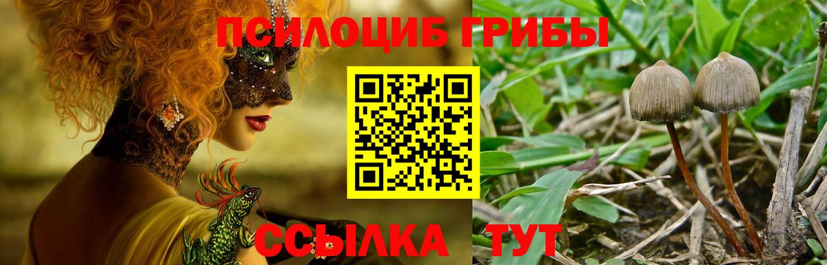 Галлюциногенные грибы MAGIC MUSHROOMS Кизилюрт
